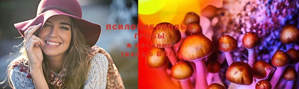 героин Алексин