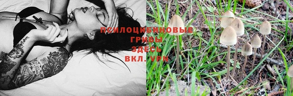 героин Алексин