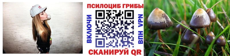 Галлюциногенные грибы Psilocybe  Губкин 