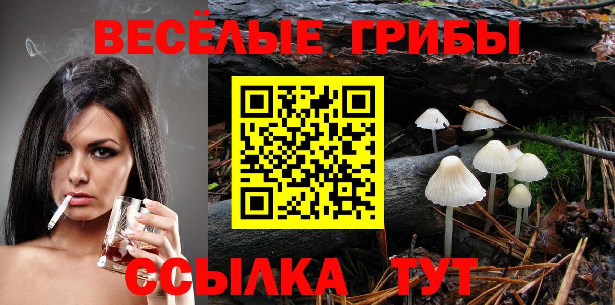 Галлюциногенные грибы мухоморы Губкин
