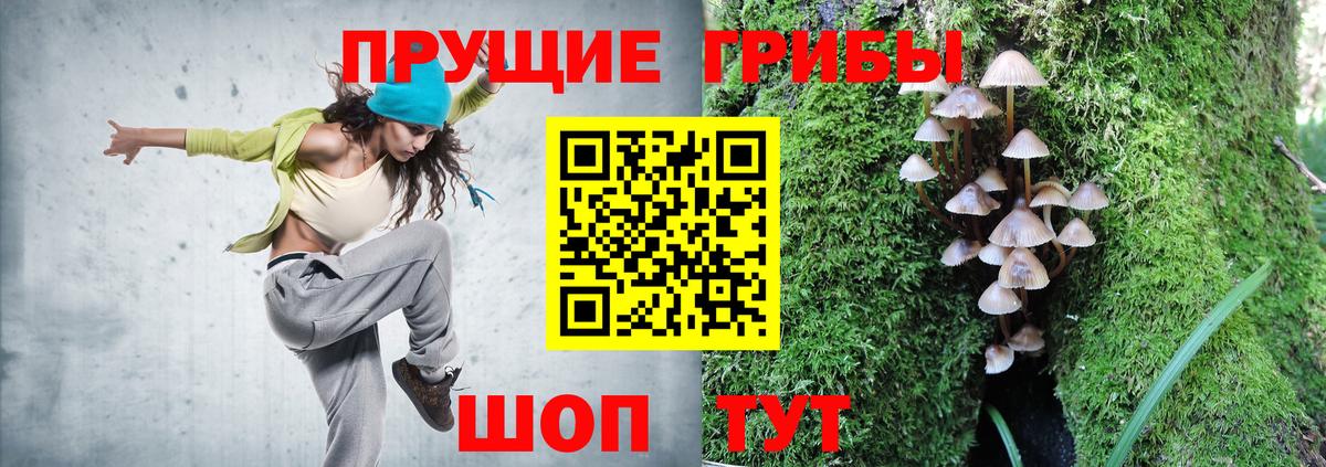 Губкин  Псилоцибиновые грибы Psilocybe  Вход с VPN 